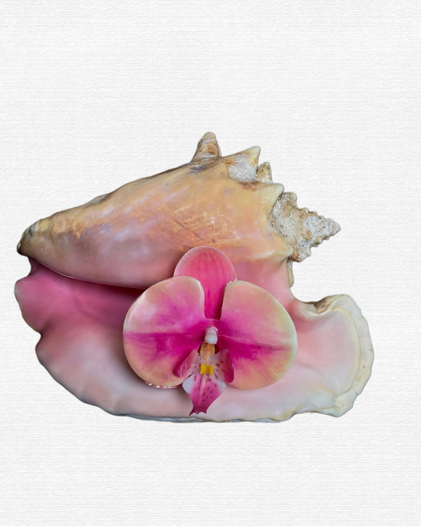 Na’i Earring