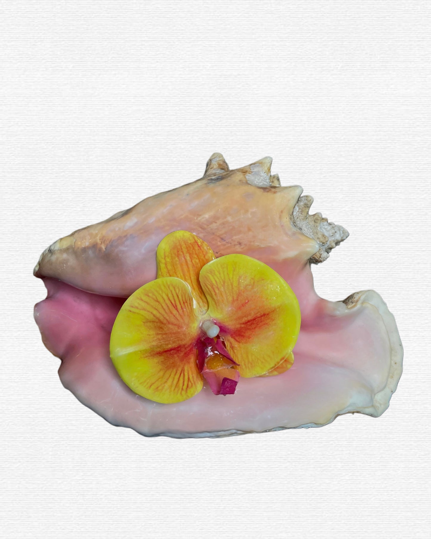 Na’i Earring