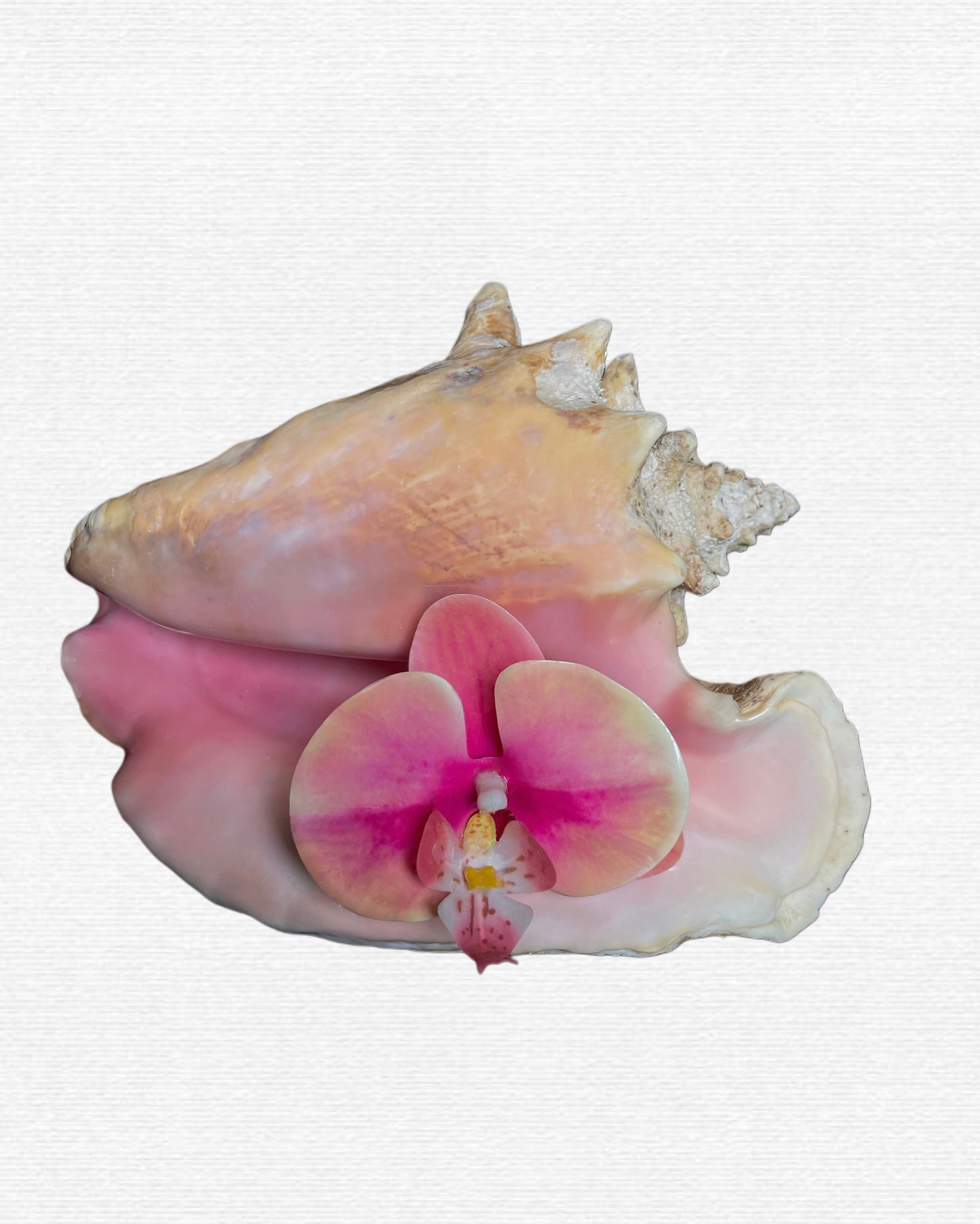Na’i Earring