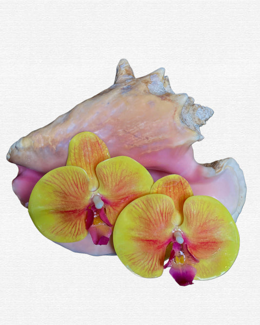 Na’i Earring