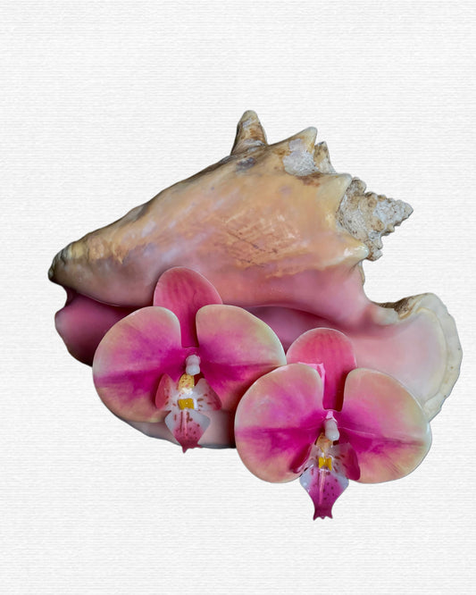 Na’i Earring